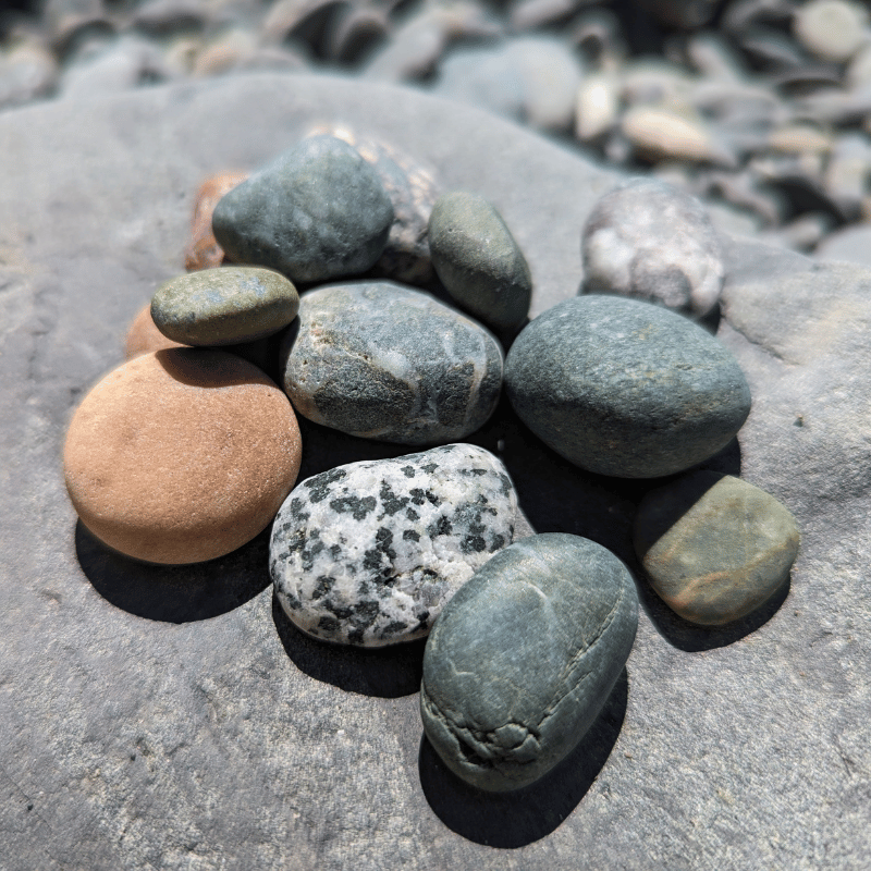 Small rocks of varying colors and shapes
