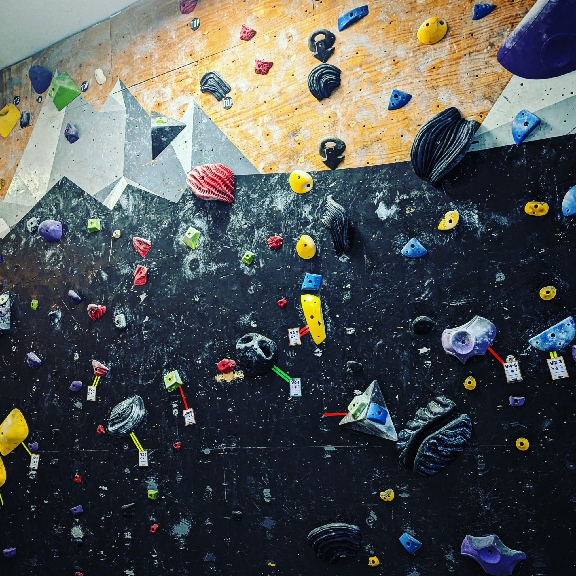 Nosotros Rock Climbing Gym climbing wall with colorful holds