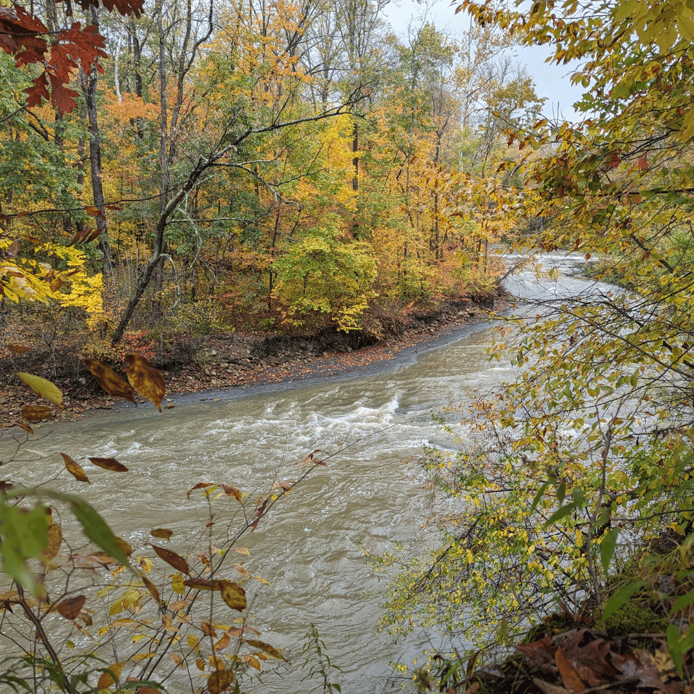 Tinker's Creek in CVNP